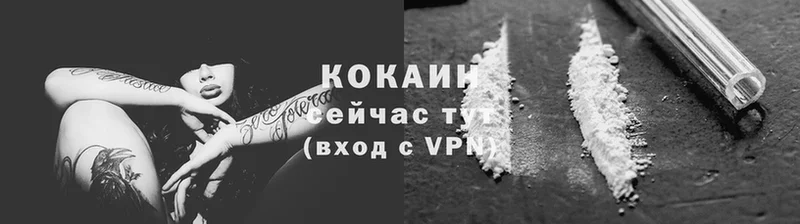 Cocaine Эквадор  нарко площадка Telegram  Луга  blacksprut tor 