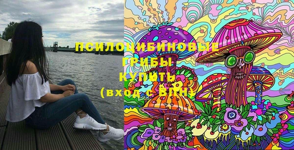 винт Новозыбков