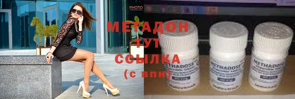 шишки Новодвинск