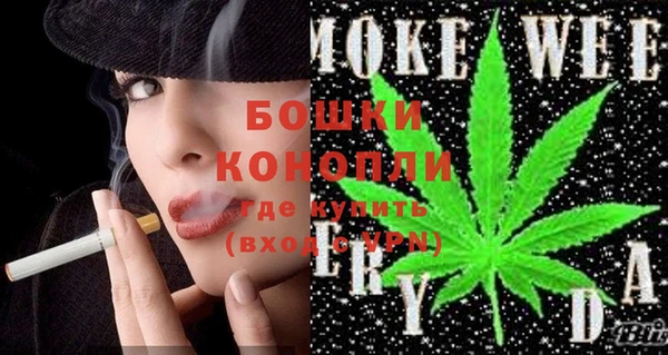 шишки Новодвинск