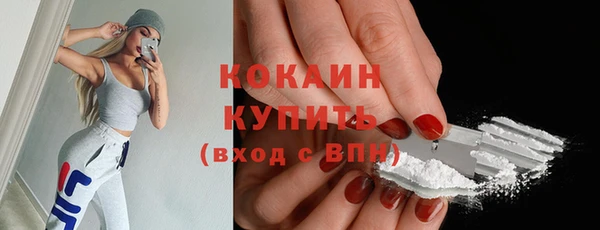 шишки Новодвинск
