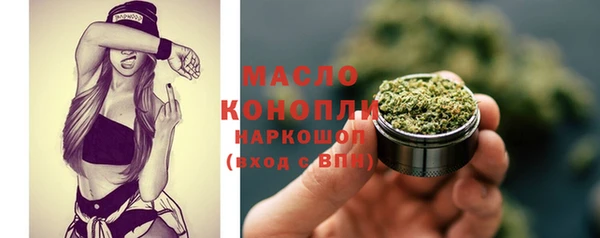 шишки Новодвинск