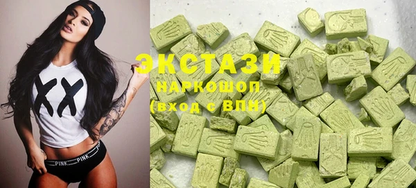 шишки Новодвинск