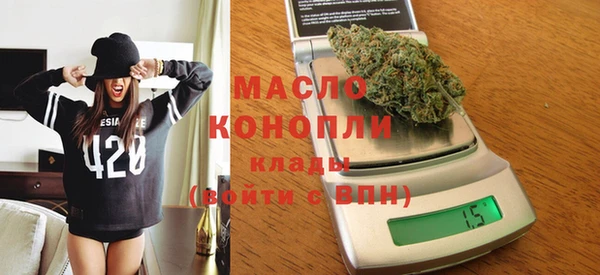 шишки Новодвинск