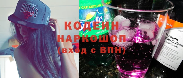 шишки Новодвинск