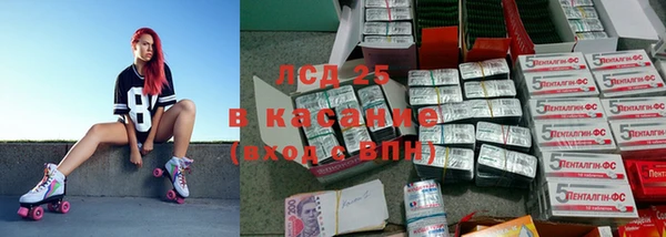 шишки Новодвинск