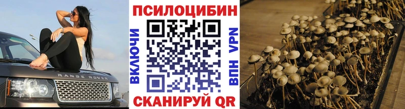 Псилоцибиновые грибы мухоморы  KRAKEN ONION  Луга  купить закладку 