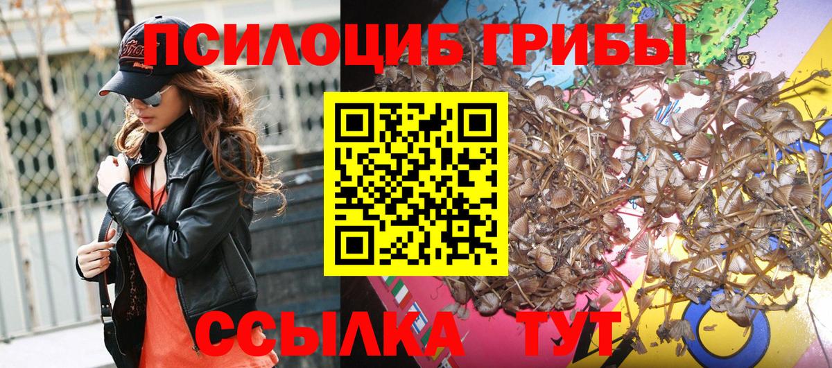 Галлюциногенные грибы Cubensis Луга